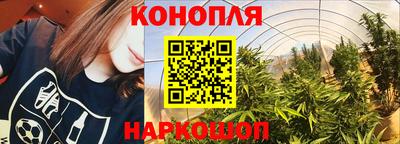 PSILOCYBIN Камышлов