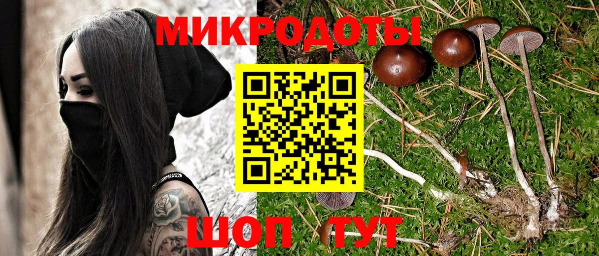 Псилоцибиновые грибы ЛСД Буйнакск