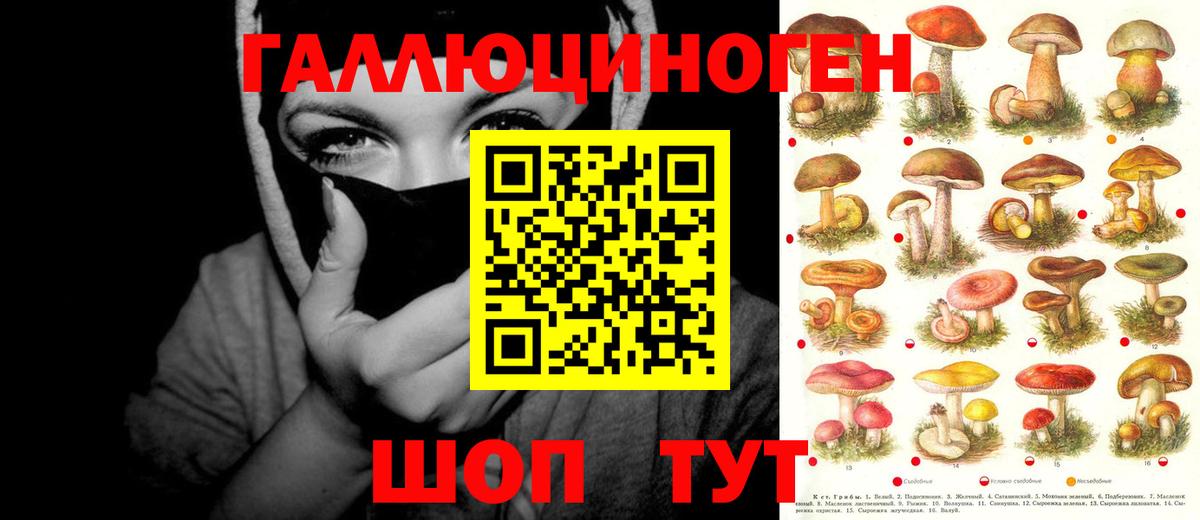 Псилоцибиновые грибы GOLDEN TEACHER  Вход с VPN  Галлюциногенные грибы мухоморы  Буйнакск 